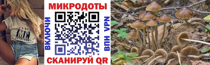 наркота  kraken   Галлюциногенные грибы мухоморы  Динская 