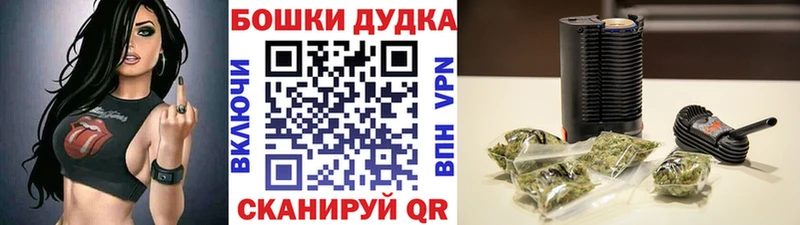 Канабис ГИДРОПОН купить закладку Динская